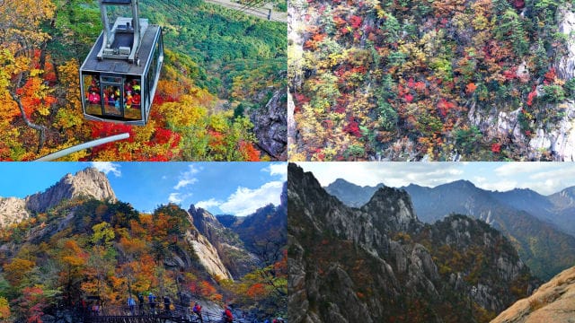 산행하는 내내 즐거움을 선사한 설악산 단풍 사진 4장 