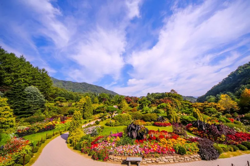 아침고요수목원 정원모습