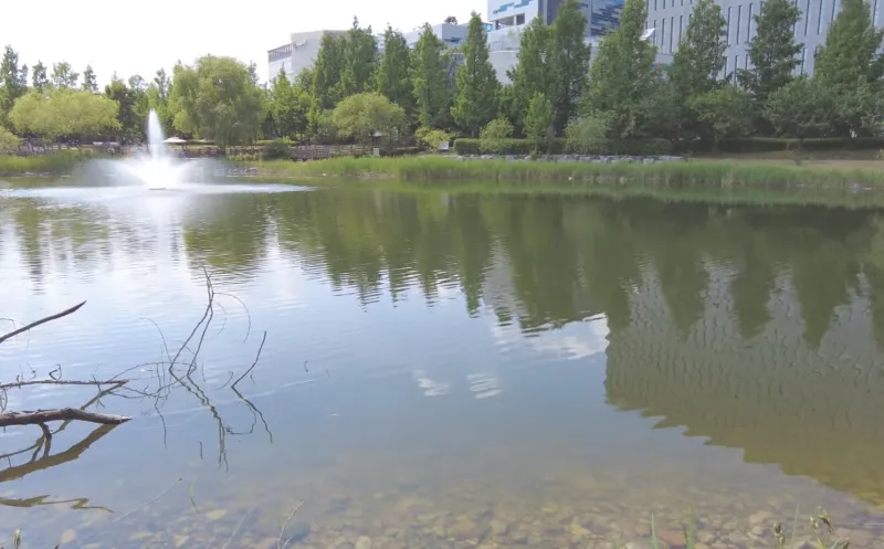 작은 호수 건너 IT빌딩숲을 이루고 있다.